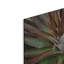 «Succulent VI» par Dennis Frates-830196071