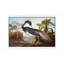 Louisiana Heron From "Birds Of America" by John Audubon - Painting on Canvas-2052882805-2052882811