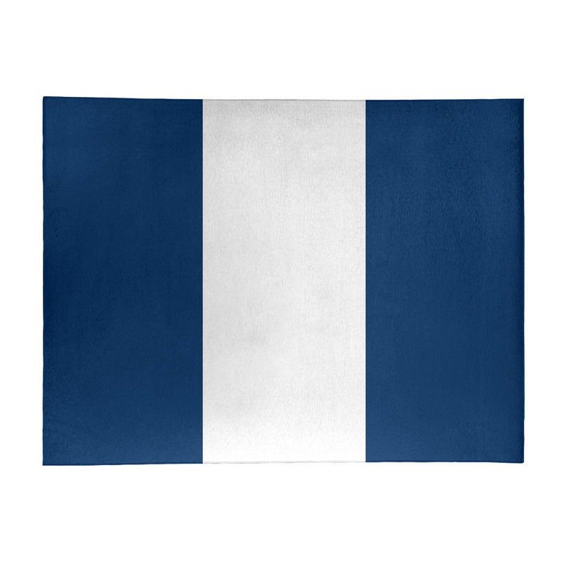 Tapis bleu/blanc tissé à plat San Diego, Rectangle 9 pi x 12 pi
