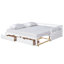 Lit de jour en bois avec lit gigogne et deux tiroirs de rangement, lit de jour extensible, canapé-lit pour le salon de la chambre à coucher, blanc