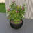 Trevonna Round Bowl-Shaped Fiberstone Planter Handmade MGO Clay Plant Pot with Drainage Holes for Indoor & Outdoor Use-2024267592-2024267595