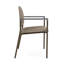 Chaise d'invité Chat Chat-98882116-98671300