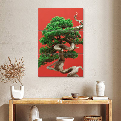 Bonsai Harnek Juniper