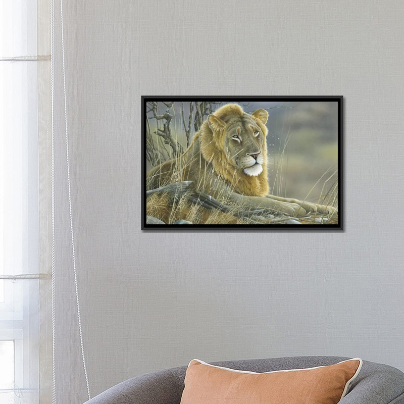« lion », impression sur toile, H 18 po x l 26 po x P 1,5 po, Toile avec cadre noir, Pas de tapis
