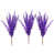 Mauve est en rupture de stock