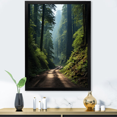 " USA Redwood National And State Park I "