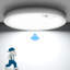 1-Light Flush Mount