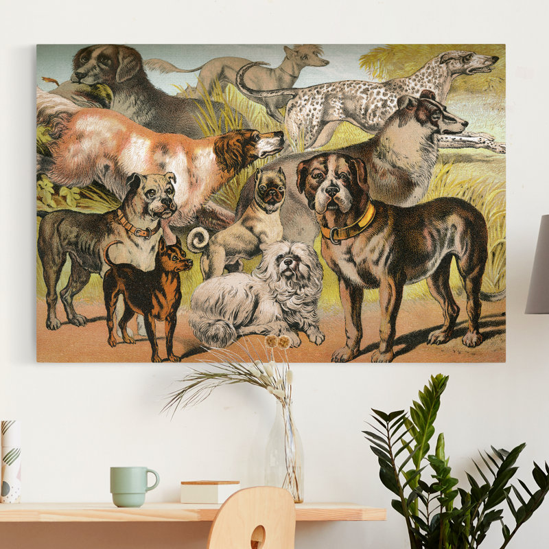 Johnsons Dog Breeds II - Wrapped Canvas Print, 8" H x 12" W x 1.5" D