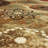 Feliks Multicolor Modern Floral Area Rug-1967515181