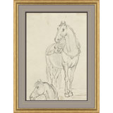 Horse Study Giclee Print by Sawrey Gilpin