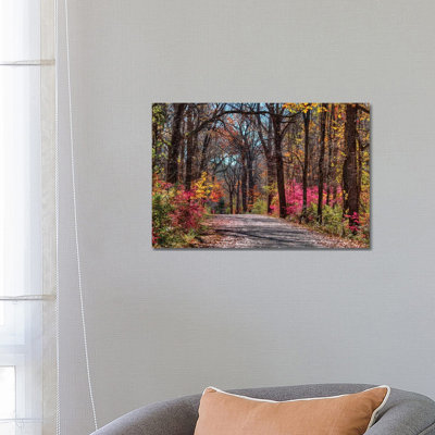 Manor Trail by David Gardiner - Print on Canvas