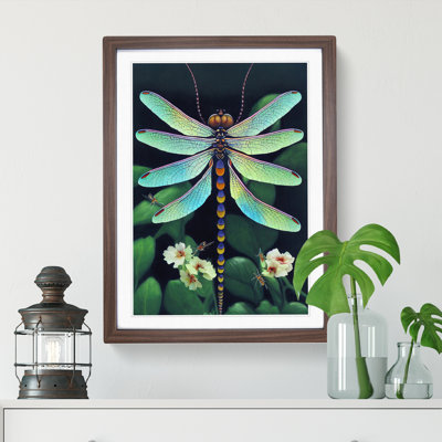 Dragonfly in Nature - Framed Print