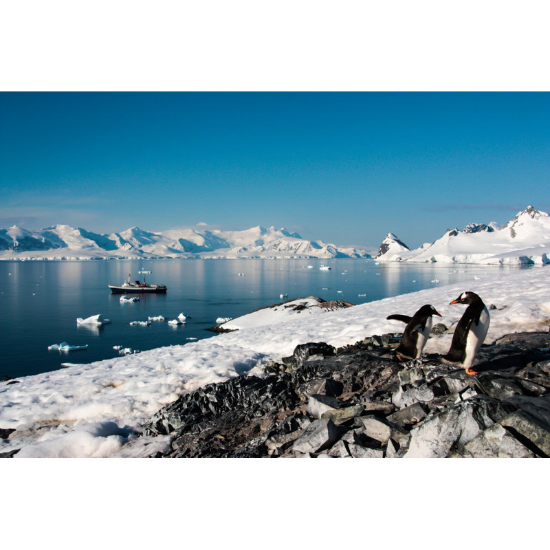Antarctic View - Wrapped Canvas Print, 51cm H x 76cm W x 3.8cm D
