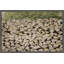 Woodpile - Single Picture Frame Print-1130195687