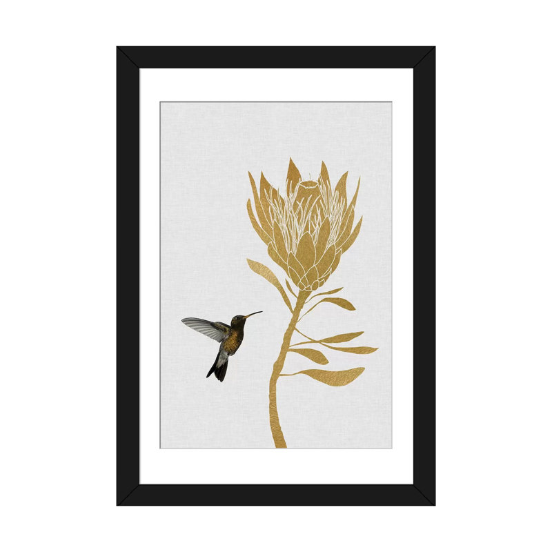 «Hummingbird and FloWer II», impression sur toile, H 24 po x l 16 po, Impression encadrée, Black