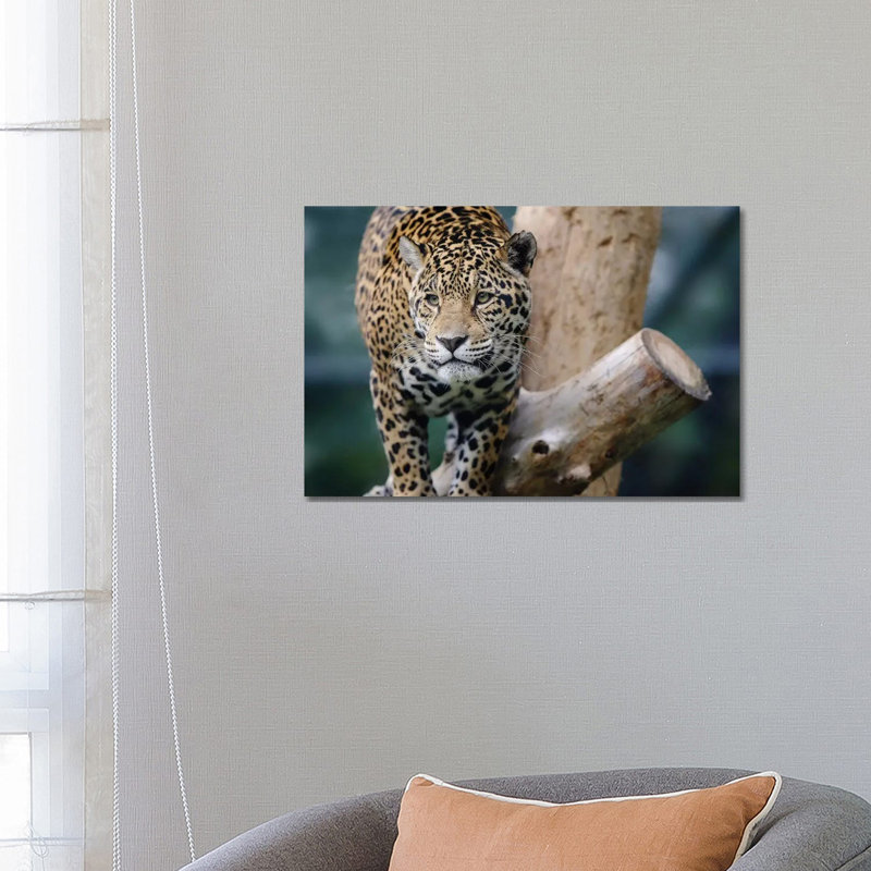Jaguar XII by Goran Anastasovski - Wrapped Canvas Print, 66.04 cm H x 45.72 cm W x 1.91 cm D