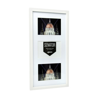 Senator Solid Wood Picture Frame with Mat