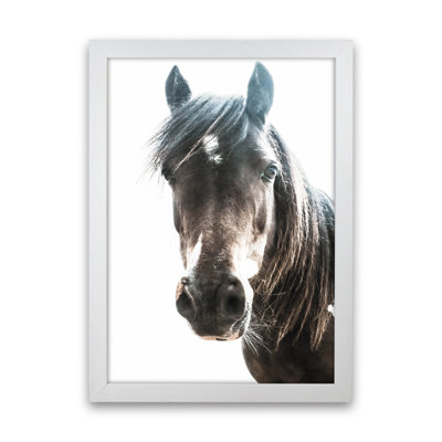 Brown Horse 1 Piece Wall Art