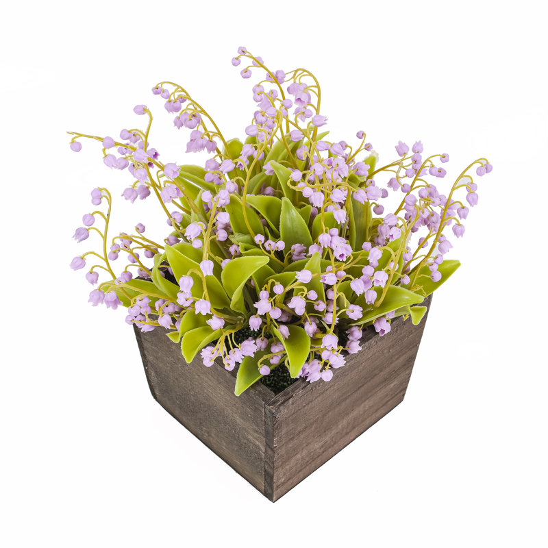 Muguet dans une boîte en bois, Mauve