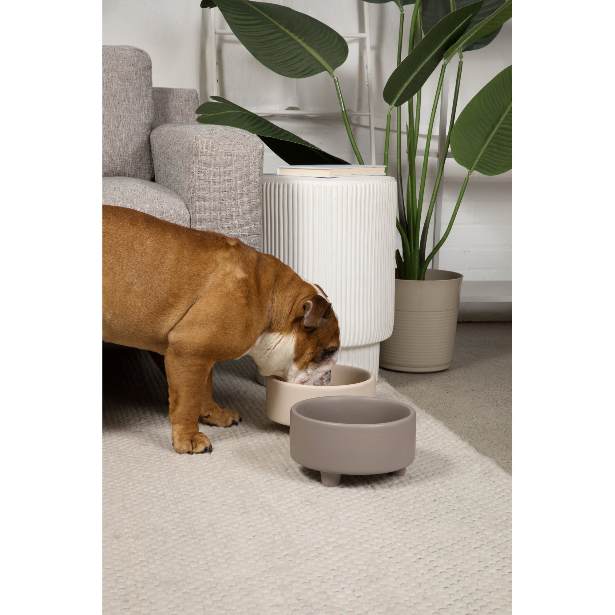 Uplift Ceramic Dog Bowl, Large (8 cups / 64 fluid oz), Vintage Gray
