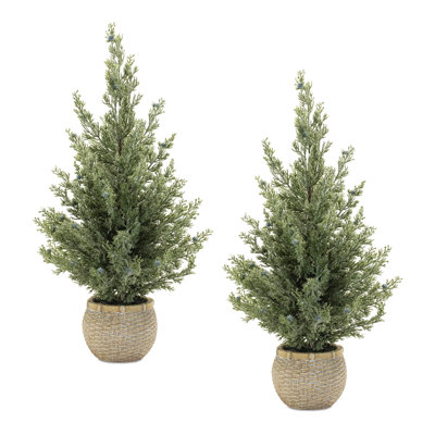 Potted Mini Pine Tree (Set of 2)