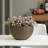Eckart Hanging Planter