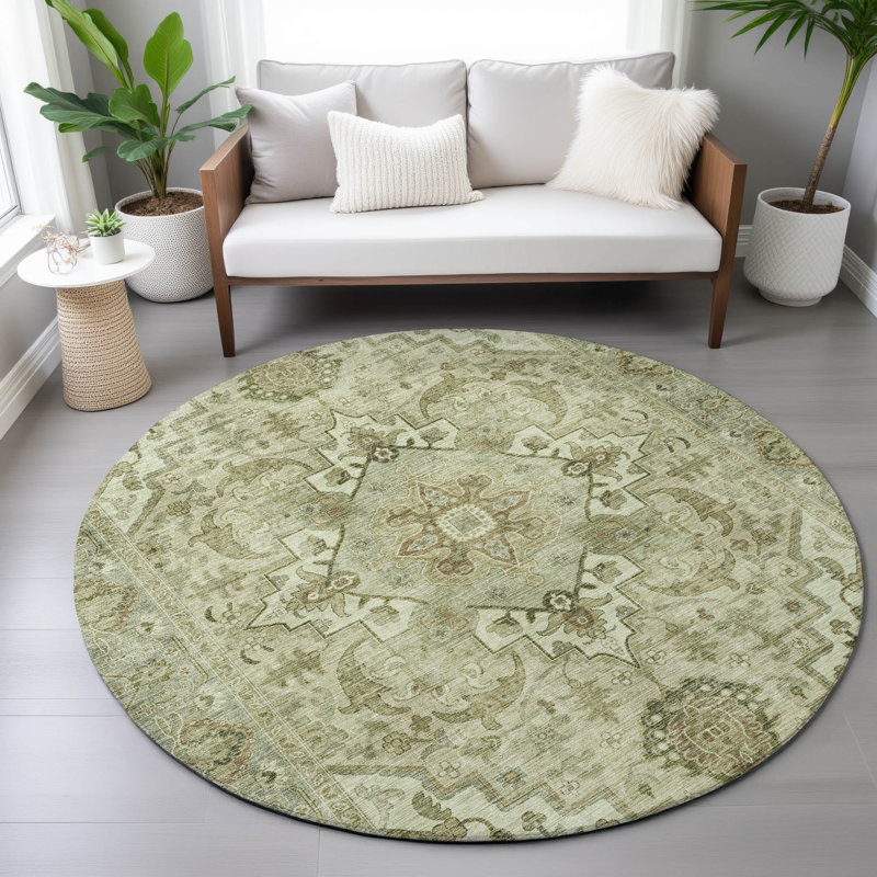 Machine Washable Indoor/Outdoor Colman ACN2164 Global Rug, Round 8'