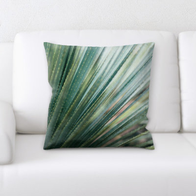 Coussin succulent