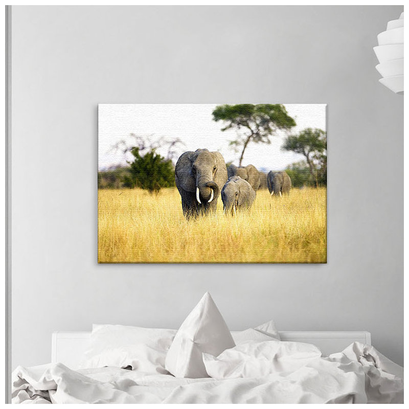 Print on Canvas, 40cm H x 60cm W x 2cm D