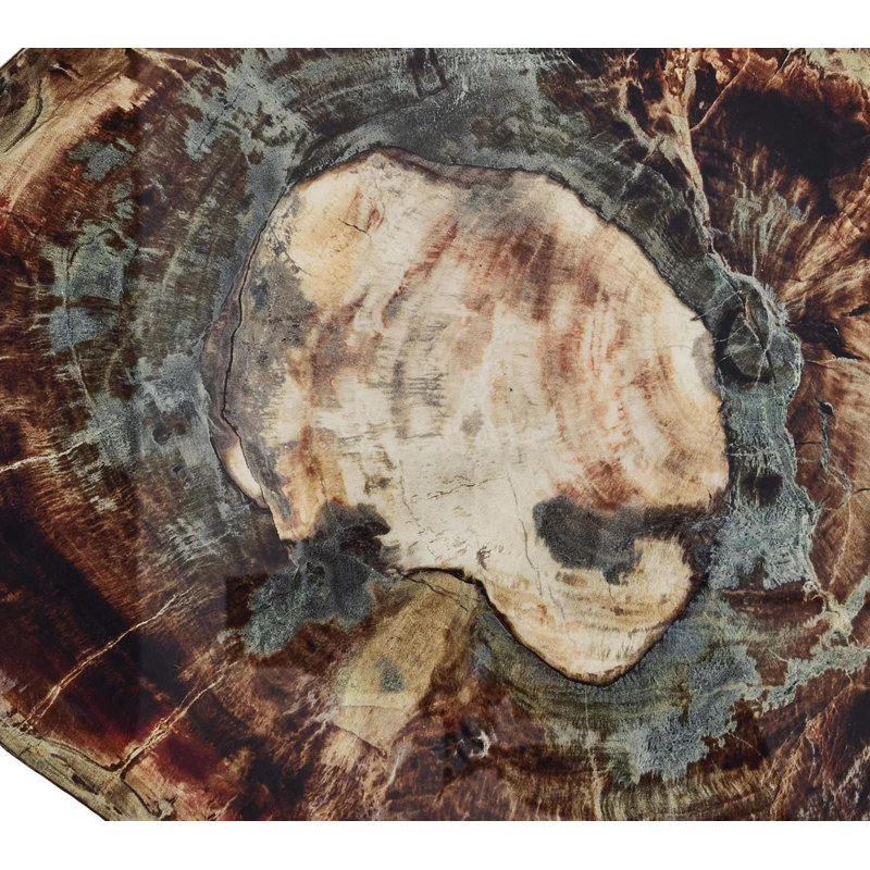 Fossil Placemat
