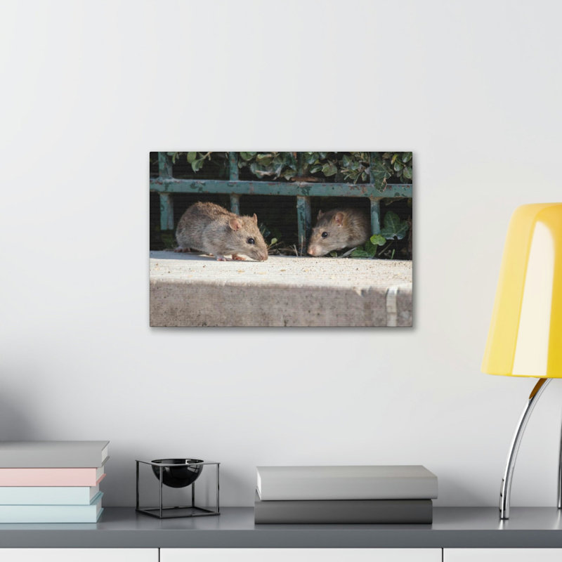 No Frame Print on Canvas, 12cm H x 18cm W