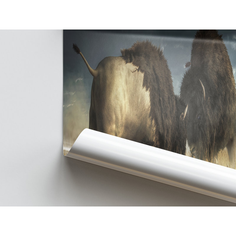 No Frame Print on Canvas, 70 cm H x 100 cm W