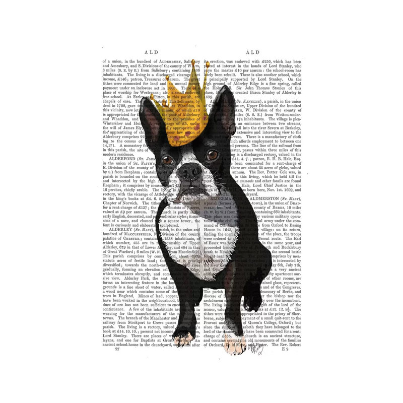 Boston Terrier & Crown, Print BG by Fab Funky - Wrapped Canvas Print, 20.32 cm H x 30.48 cm W