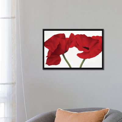 «Poppy Red», impression sur toile