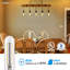 40 Watt Equivalent T10 E26/Medium (Standard) Dimmable 2700K LED Bulb