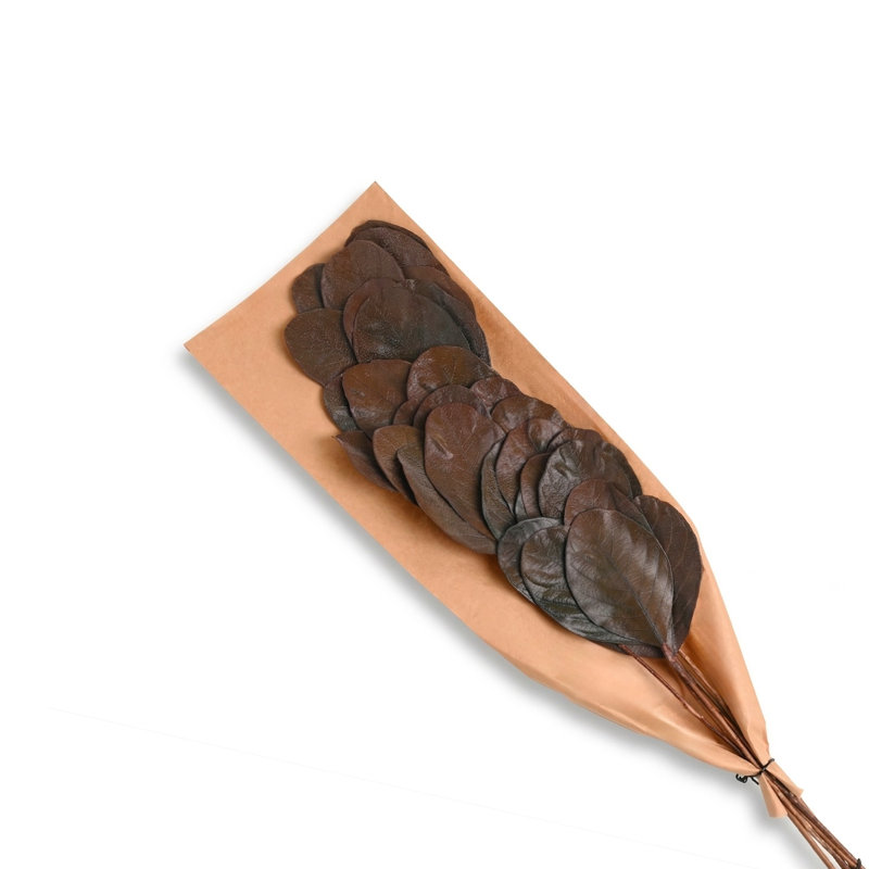 Katal Leaves 6Pc Paper Poly