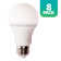 75-Watt Equivalent A19 Dimmable LED Light Bulb, 5000K Daylight, 8-pack