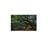 16" X 24" Angel Oak Tree Wall Art Canvas Solid Wood Frame Support Green