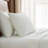 Martha By Martha Stewart Classic Elegance Solid Cotton Sheet Set-124987488-124987489