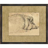 Charcoal Animal Collection 11 Print