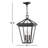 Lalla 3-Light Outdoor Hanging Lantern
