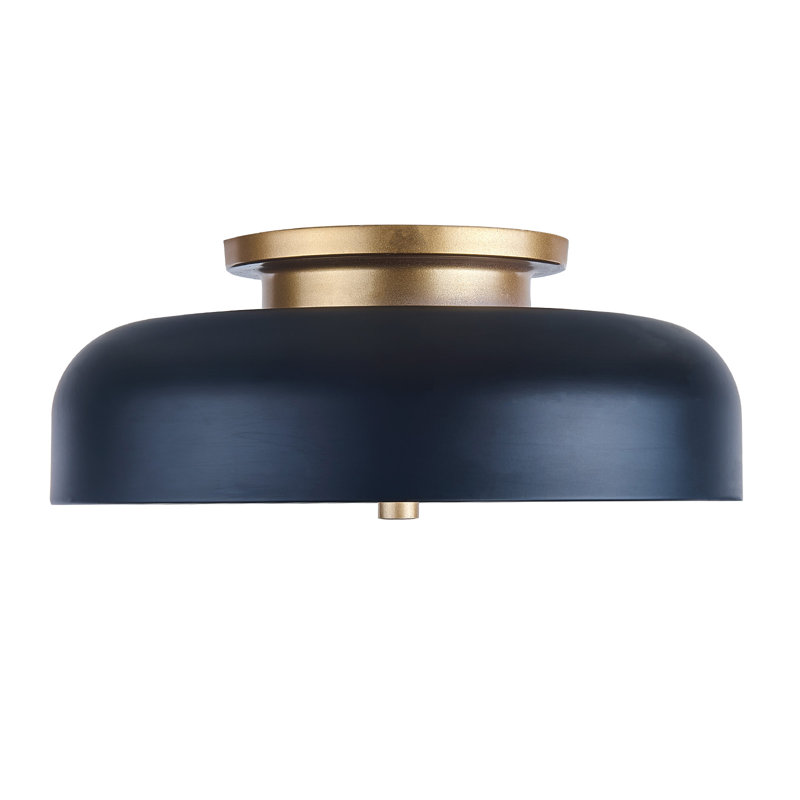 Fixation de plafond à DEL pour l'extérieur, avec finition noire et abat-jour en acrylique, réglable 5 CCT, 11 pouces, Noir