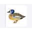 « golden duck », impression sur toile tendue-31919334