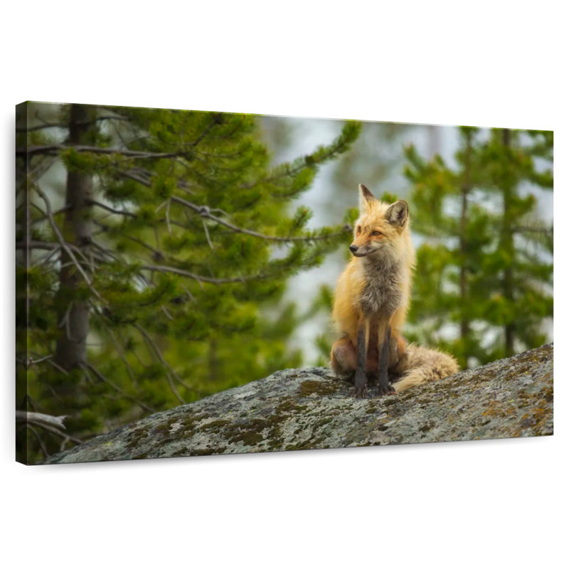 Brampt Red Fox Vixen, 8" H x 12" W