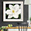 «Midnight Magnolia II», reproduction encadrée de qualité supérieure - prête à être accrochée-62727131-62727130