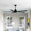 Ventilateur de plafond standard à DEL à 5 pales Athanafis avec télécommande et ensemble d'éclairage inclus-653865801-664920889-625809390