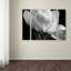 « gardenia », ensemble de 3 reproductions de photos sur toiles tendues-33556897