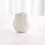 Sand Dollar Vase-White-Sm-1791142182