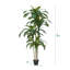 Dracaena artificiel Adcock résistant aux rayons UV, grande plante Dracaena pour la décoration intérieure intérieure-891791148-891692808