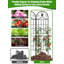 220cm H x 50cm W Metal Gothic Trellis